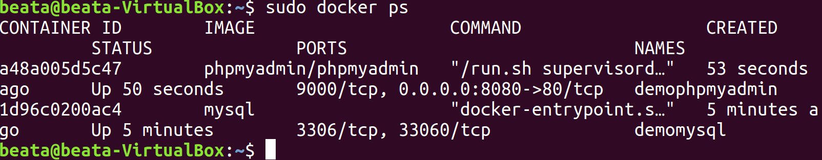 Docker i phpMyAdmin zdj.7